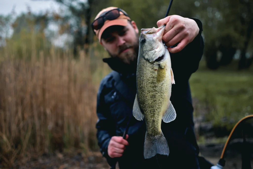 Amikor a szenvedély kezeli a kamerát SIXTONE